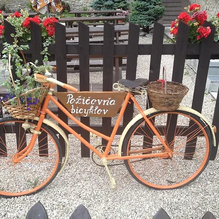 Javorina Čičmany