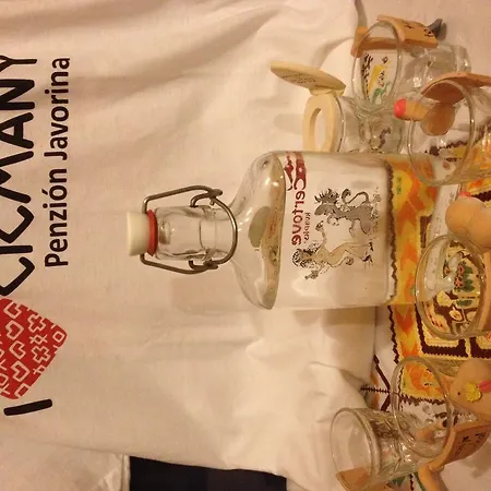 Javorina בית הארחה 3*