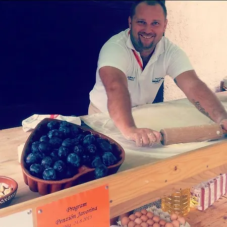 Javorina בית הארחה Čičmany