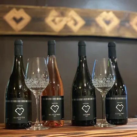 בית הארחה Javorina Čičmany