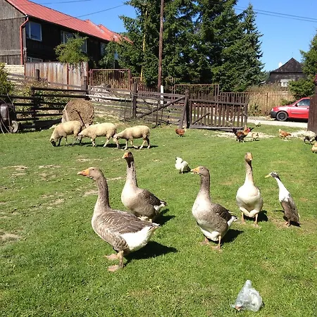 בית הארחה Javorina