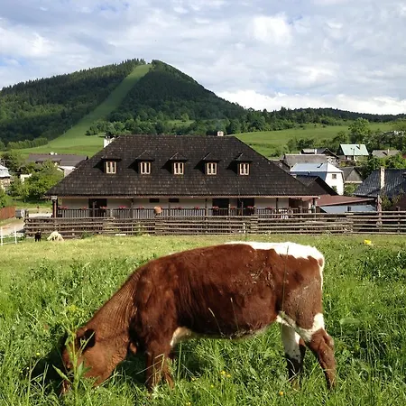 Javorina Čičmany